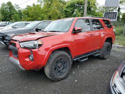 Salvage cars for sale at Marlboro, NY auction: 2023 Toyota 4runner SE