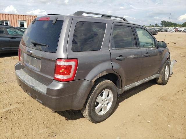 2009 Ford Escape XLT