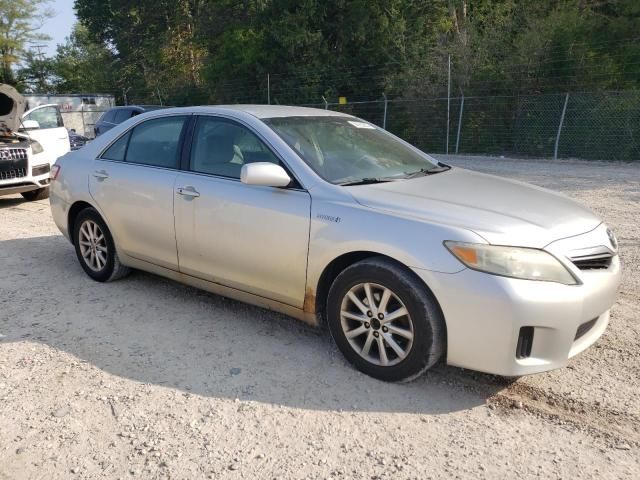 2010 Toyota Camry Hybrid