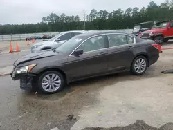 Honda Accord exl Vehiculos salvage en venta: 2011 Honda Accord EXL