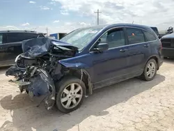 Salvage cars for sale at Andrews, TX auction: 2010 Honda CR-V EX