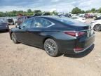 2024 Lexus ES 250 Base