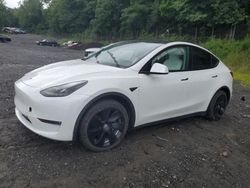 2023 Tesla Model Y en venta en Marlboro, NY