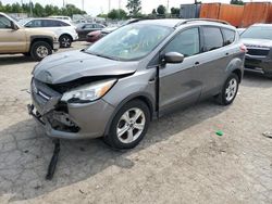 Salvage cars for sale at Bridgeton, MO auction: 2014 Ford Escape SE