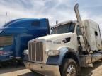 2021 Peterbilt 567