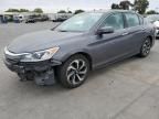 2016 Honda Accord EXL