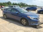 2015 Hyundai Sonata ECO