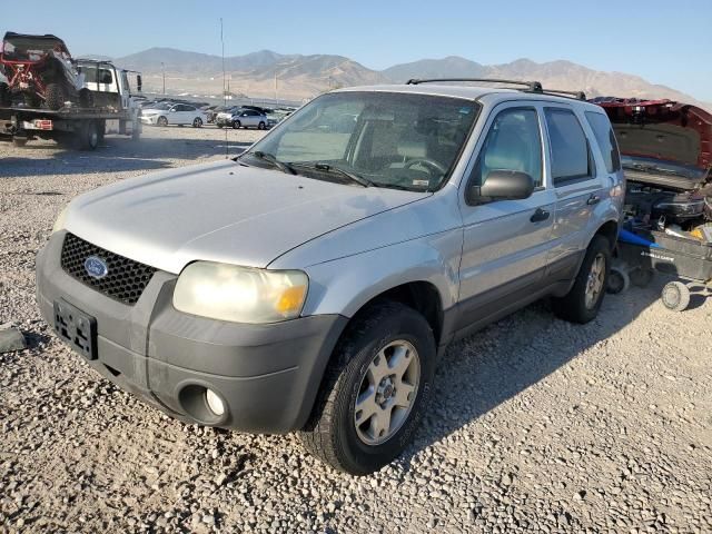 2007 Ford Escape XLT