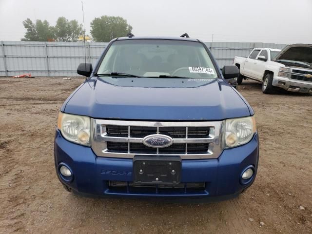 2008 Ford Escape XLT