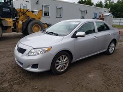 Salvage cars for sale from Copart Lyman, ME: 2009 Toyota Corolla Base