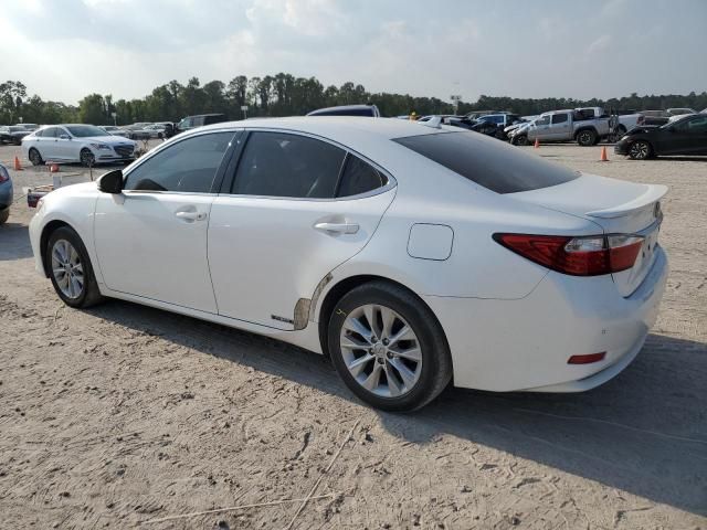 2014 Lexus ES 300H