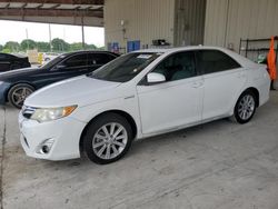 Salvage cars for sale from Copart Homestead, FL: 2012 Toyota Camry Hybrid