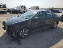 Salvage cars for sale at Indianapolis, IN auction: 2017 Honda Civic EX