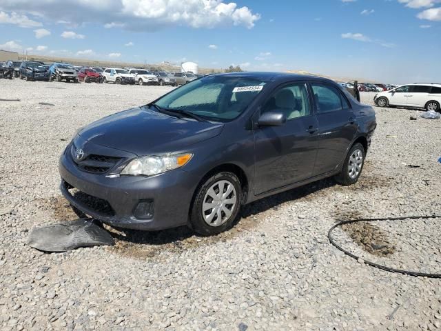 2011 Toyota Corolla Base