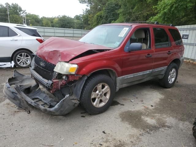 2005 Ford Escape XLT