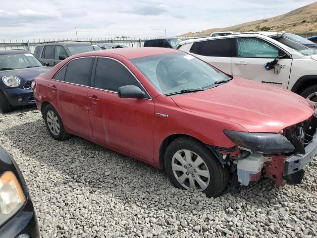 2008 Toyota Camry Hybrid