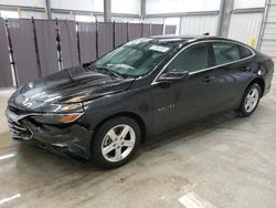 Salvage cars for sale at New Braunfels, TX auction: 2023 Chevrolet Malibu LT