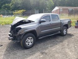 Salvage cars for sale from Copart Baltimore, MD: 2023 Toyota Tacoma Double Cab