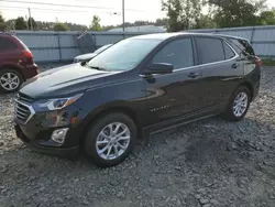 Chevrolet salvage cars for sale: 2021 Chevrolet Equinox LT