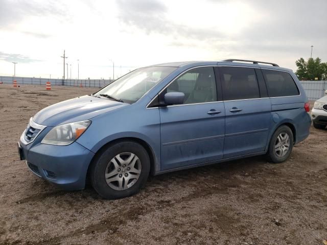 2008 Honda Odyssey EXL