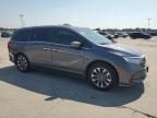 2024 Honda Odyssey EXL