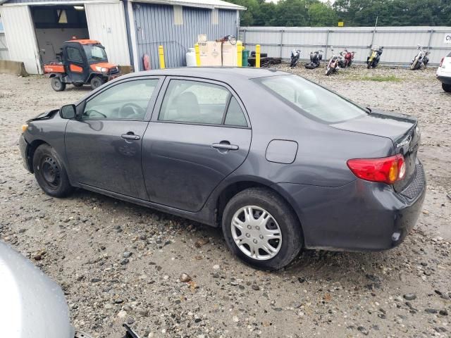 2010 Toyota Corolla Base