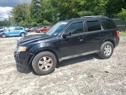 Ford salvage cars for sale: 2010 Ford Escape Limited