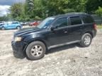 2010 Ford Escape Limited