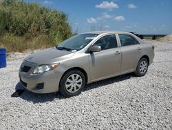 Toyota salvage cars for sale: 2010 Toyota Corolla Base