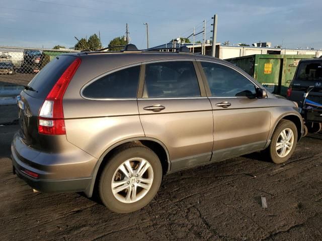 2010 Honda CR-V EXL