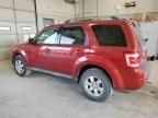 2010 Ford Escape Limited