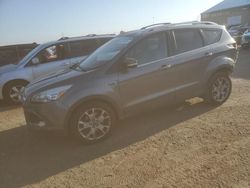 Salvage cars for sale at Brighton, CO auction: 2014 Ford Escape Titanium