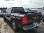 2005 Dodge Dakota Quad SLT