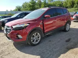 Ford Vehiculos salvage en venta: 2018 Ford Escape SE