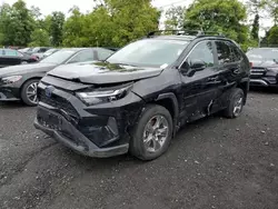 Toyota salvage cars for sale: 2023 Toyota Rav4 XLE