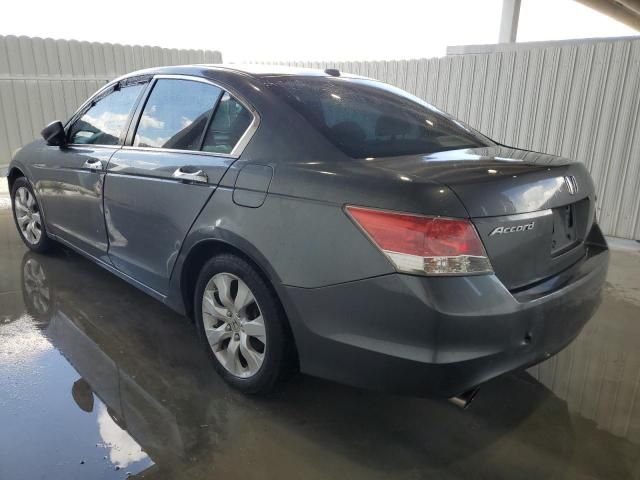 2010 Honda Accord EXL