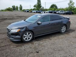 Toyota Vehiculos salvage en venta: 2009 Toyota Camry Base