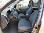 2007 Ford Escape XLT