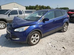 Ford salvage cars for sale: 2015 Ford Escape SE