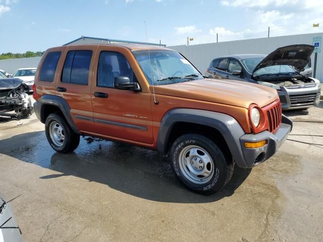 2002 Jeep Liberty Sport