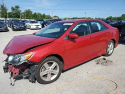 Salvage cars for sale at Lawrenceburg, KY auction: 2014 Toyota Camry L