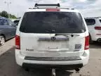 2010 Honda Pilot EXL