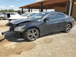 Nissan salvage cars for sale: 2014 Nissan Maxima S