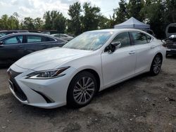 Lexus Vehiculos salvage en venta: 2021 Lexus ES 250 Base