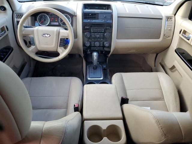 2010 Ford Escape Limited