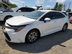 Salvage cars for sale at Bowmanville, ON auction: 2024 Toyota Corolla LE