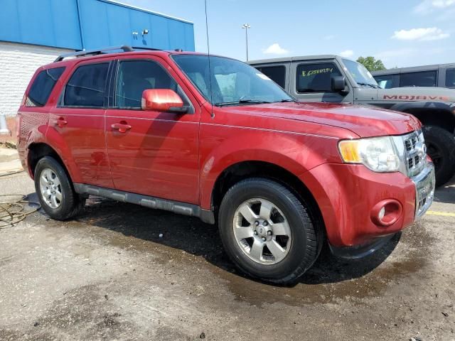 2010 Ford Escape Limited