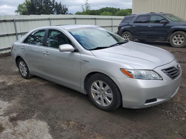 2008 Toyota Camry Hybrid