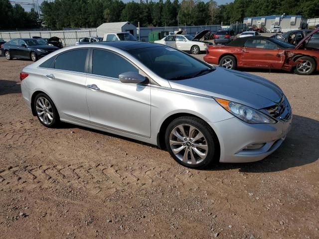 2013 Hyundai Sonata SE