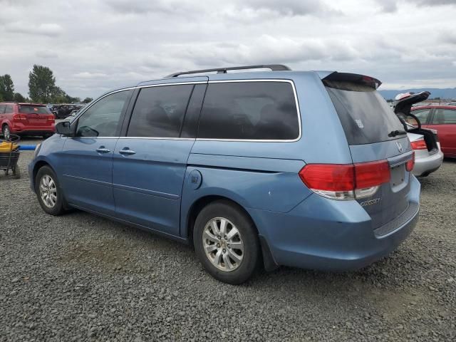 2008 Honda Odyssey EXL